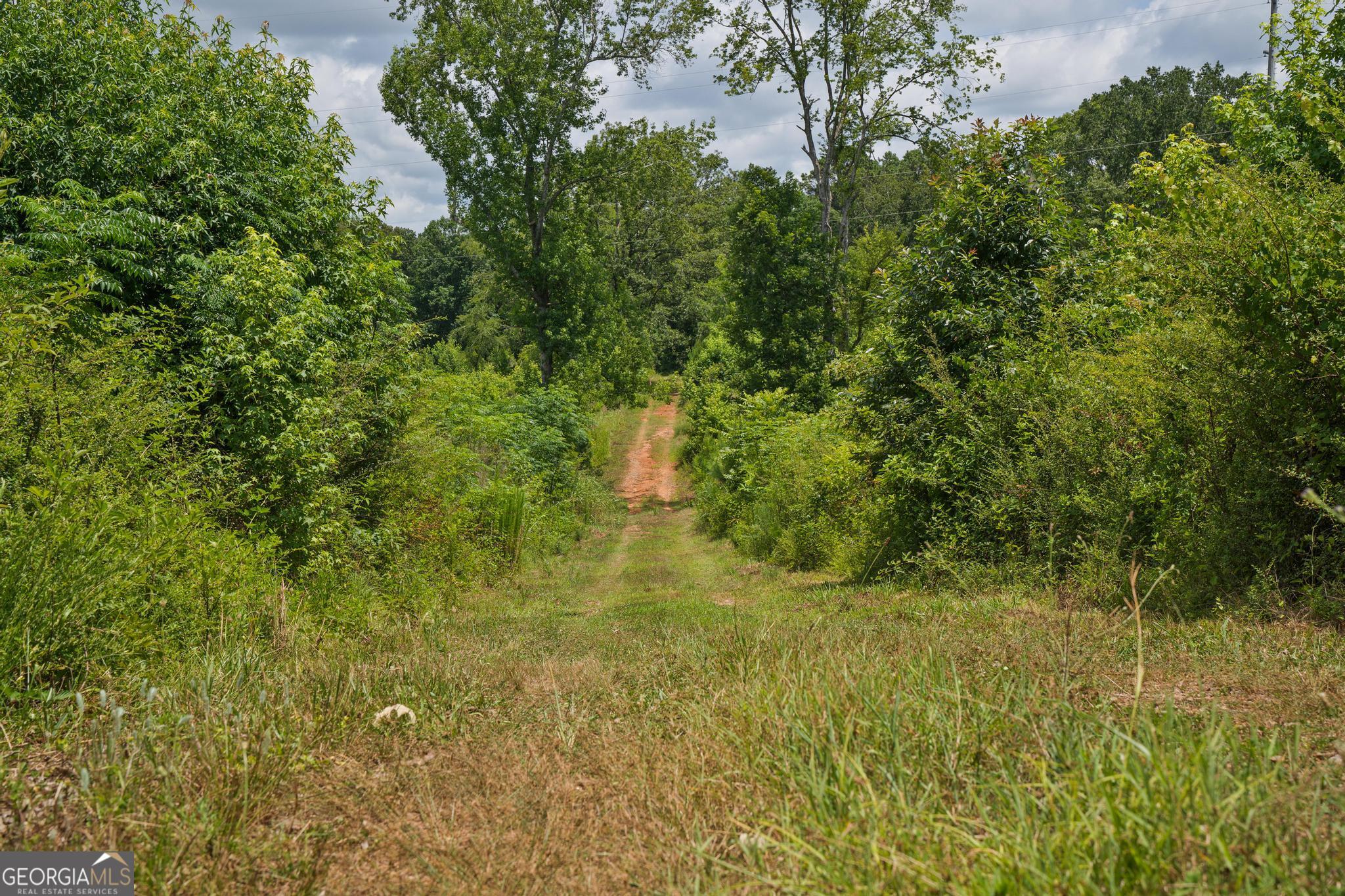 47 Askin Place Culloden GA 31016