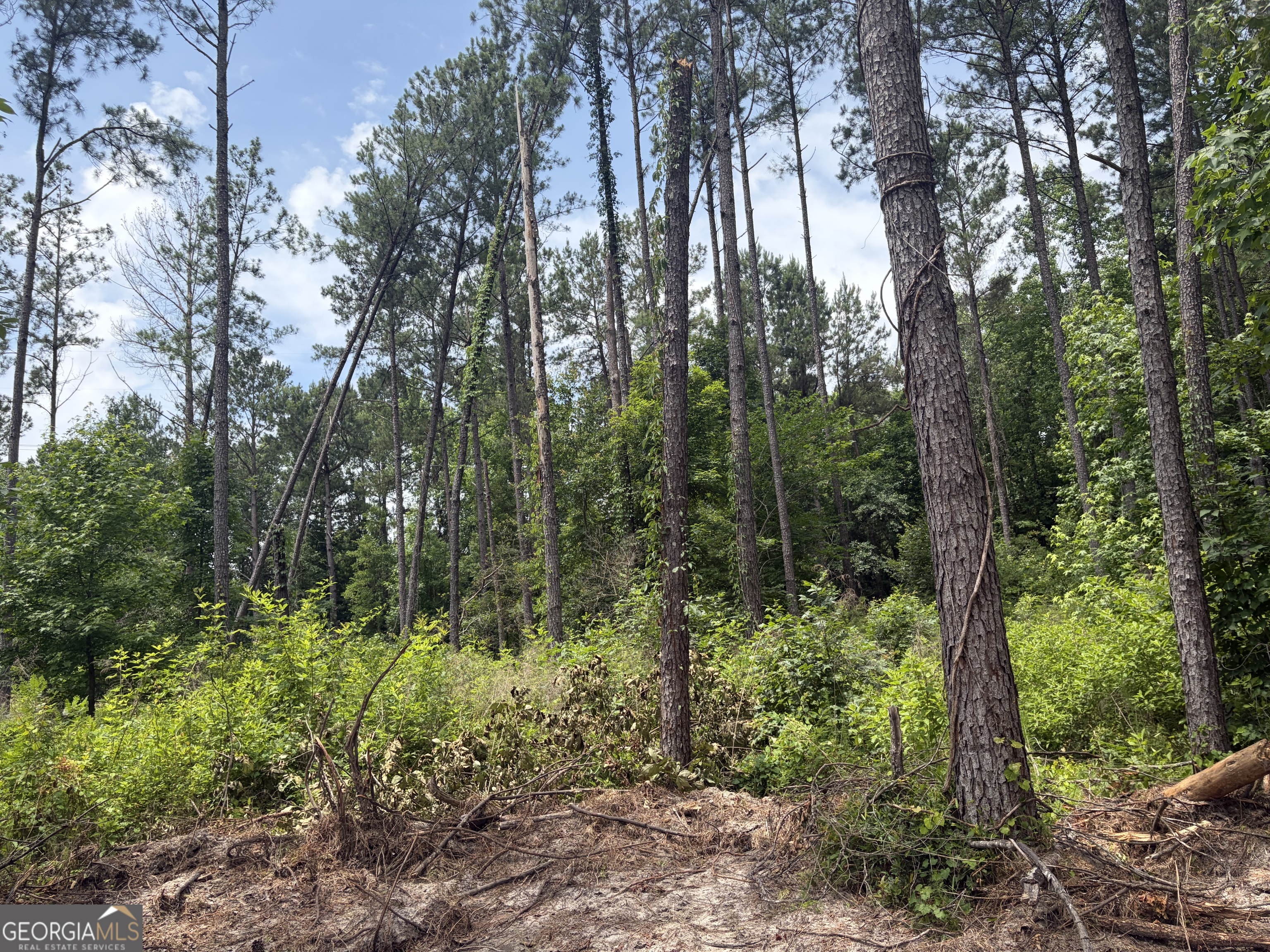 5 Sunhill Grange Road Davisboro GA 31018