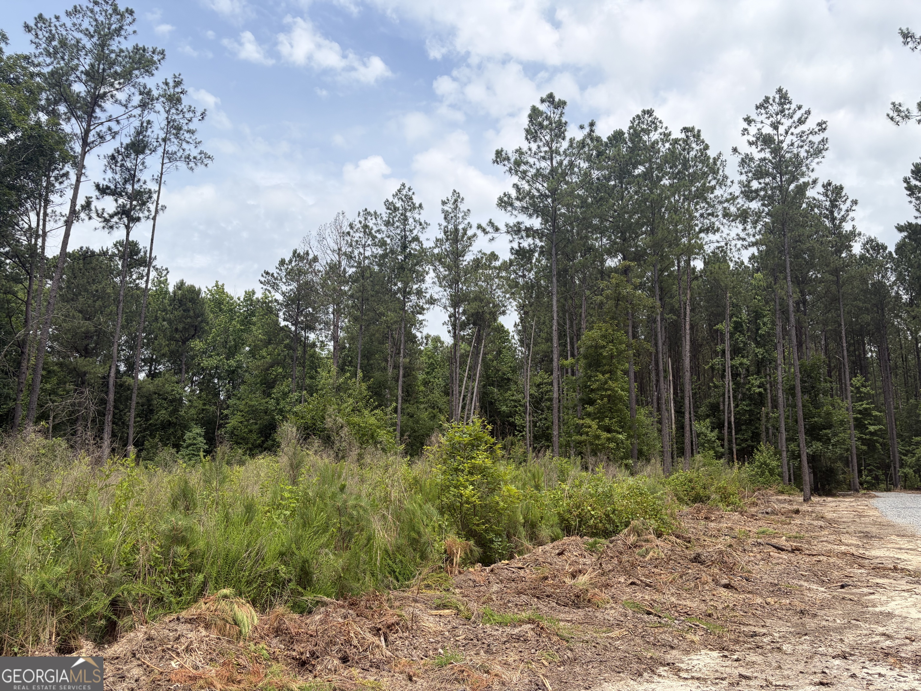 5 Sunhill Grange Road Davisboro GA 31018