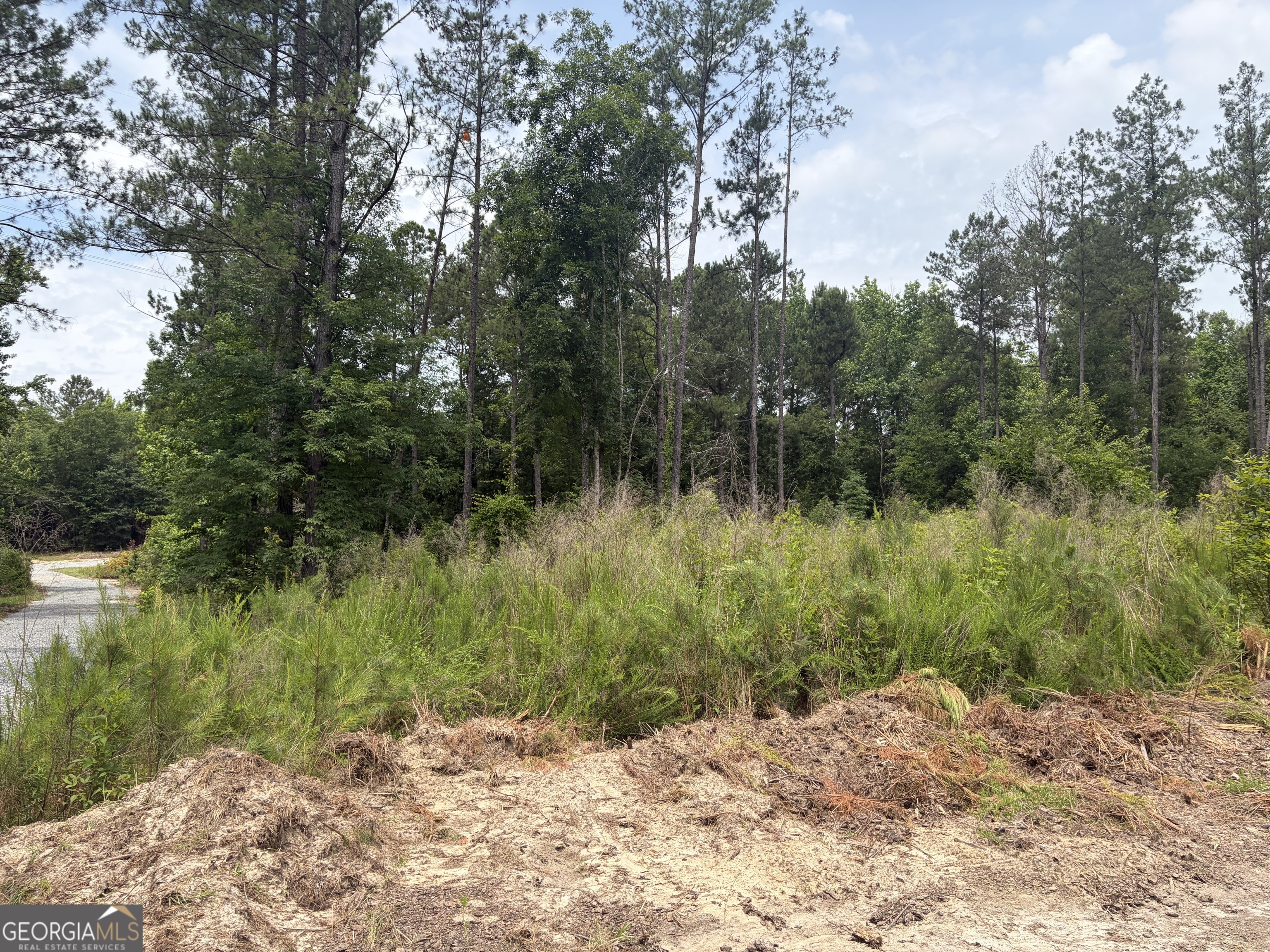 5 Sunhill Grange Road Davisboro GA 31018