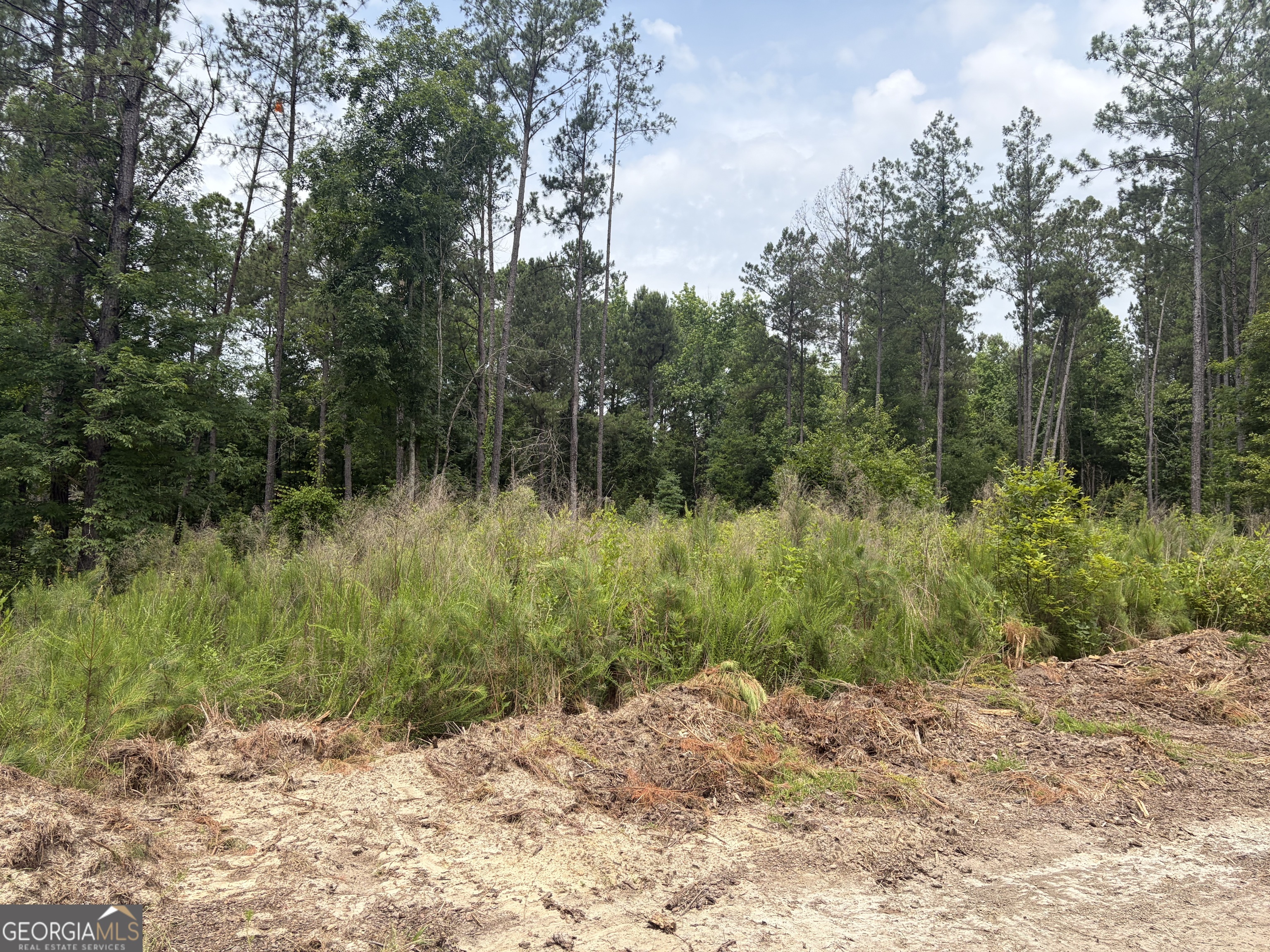 5 Sunhill Grange Road Davisboro GA 31018