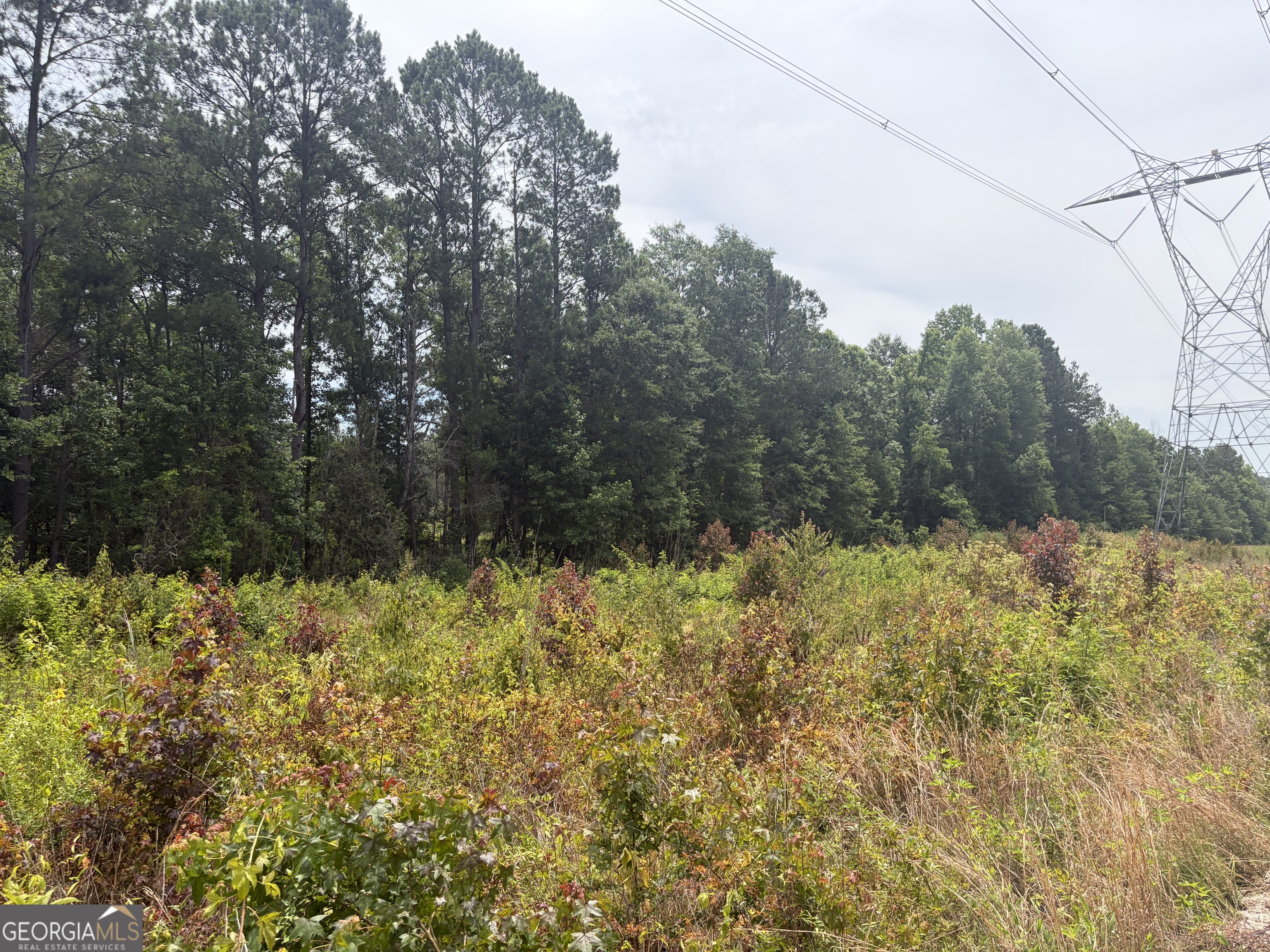 5 Sunhill Grange Road Davisboro GA 31018