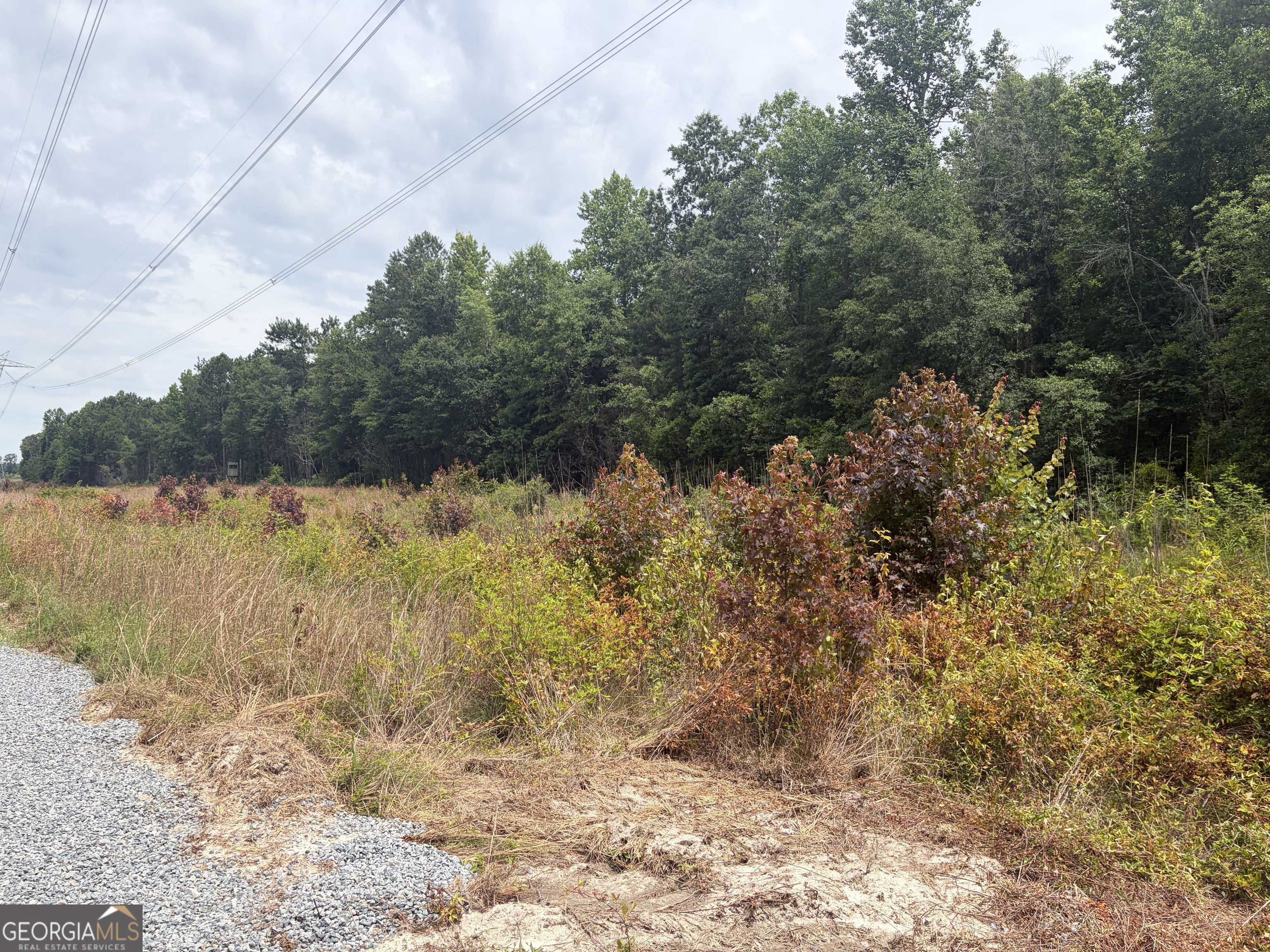 5 Sunhill Grange Road Davisboro GA 31018