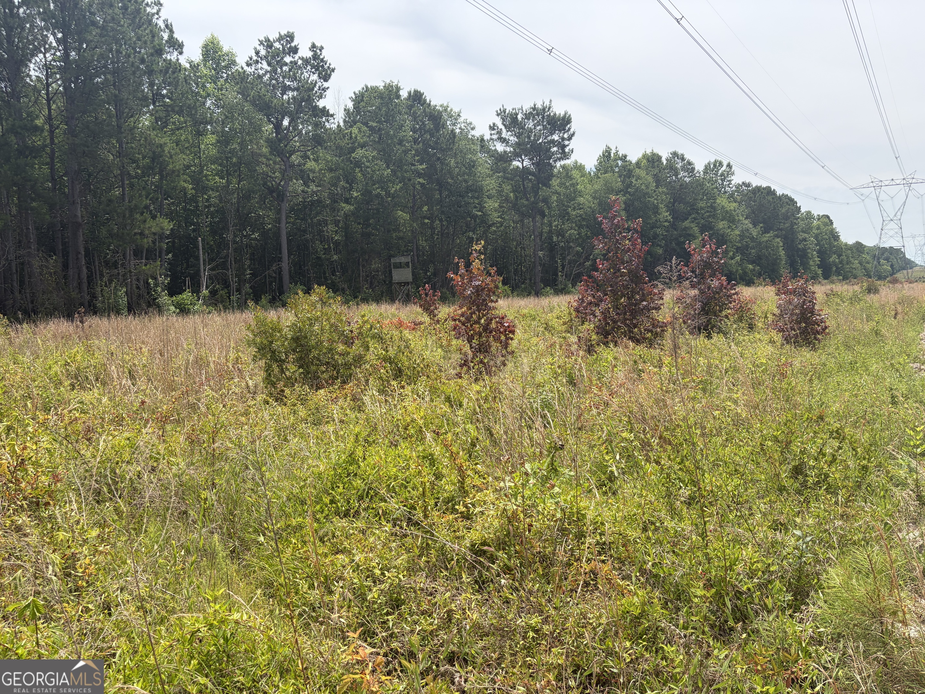 5 Sunhill Grange Road Davisboro GA 31018