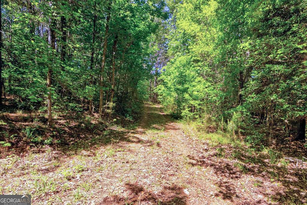 2917 Ruckersville Road Elberton GA 30635