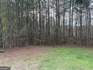 0 Willow Mcdonough GA 30253