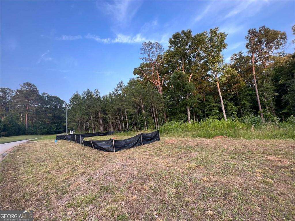2524 Stream View Drive Conyers GA 30013