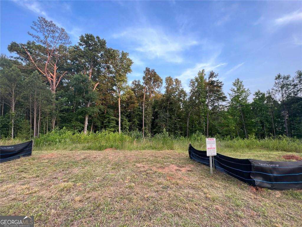 2524 Stream View Drive Conyers GA 30013