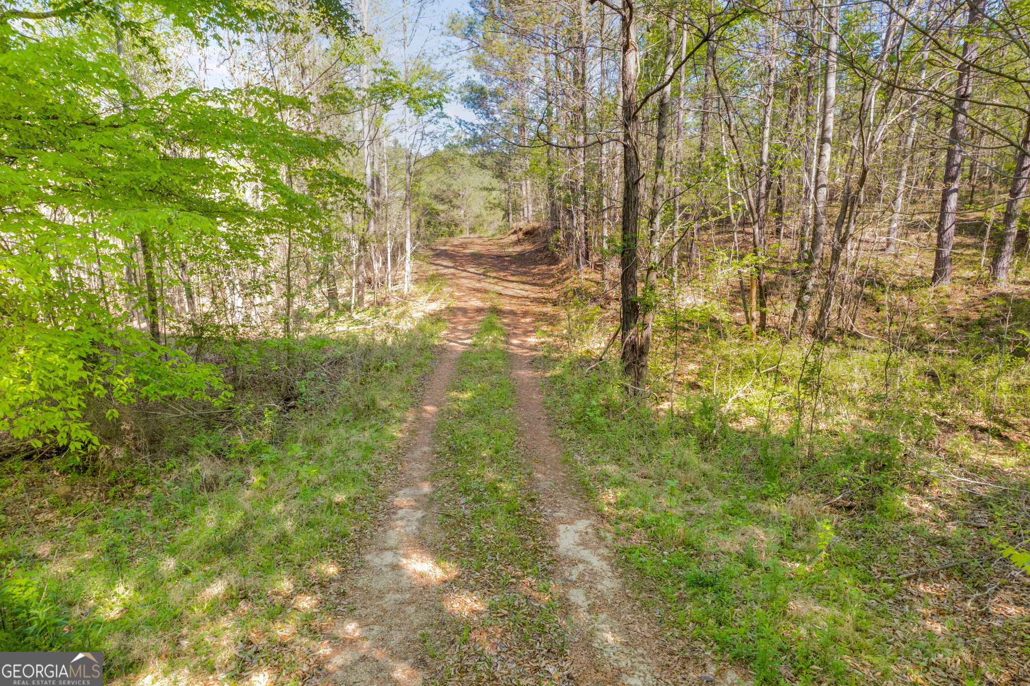 0 Lipham Road Franklin GA 30217