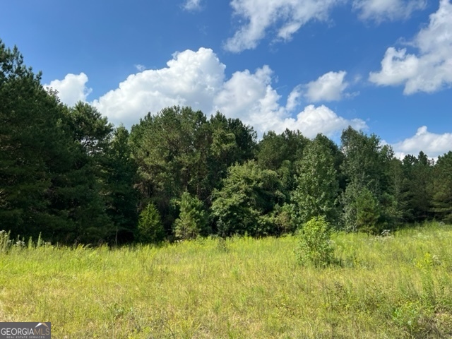 0 Lipham Road Franklin GA 30217