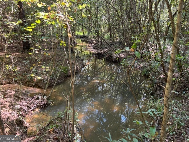 0 Lipham Road Franklin GA 30217
