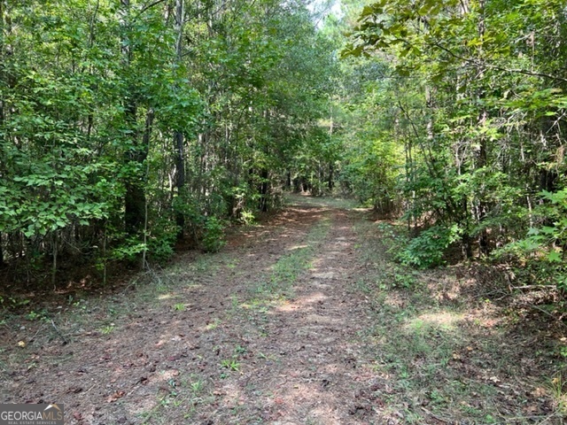 0 Lipham Road Franklin GA 30217