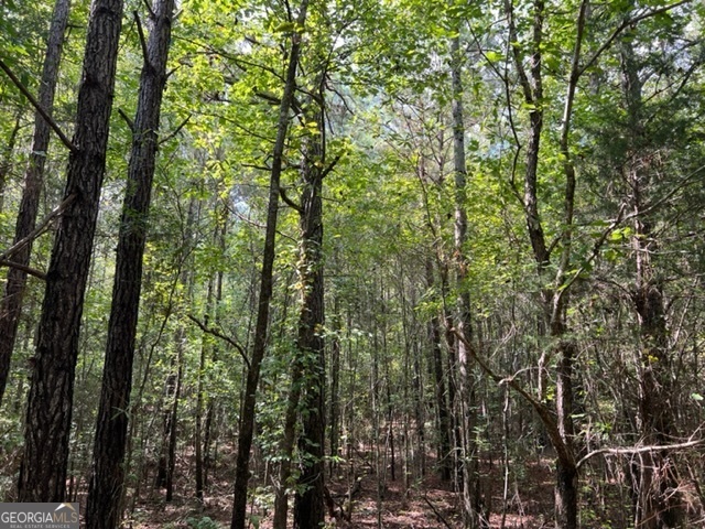 0 Lipham Road Franklin GA 30217