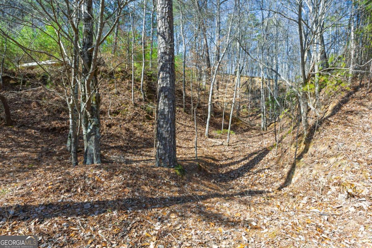 53 Somerset Lane Cartersville GA 30121