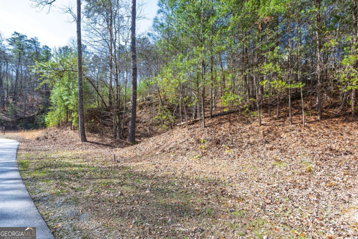 53 Somerset Lane Cartersville GA 30121