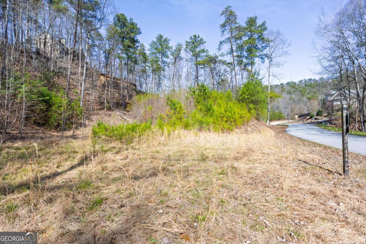 53 Somerset Lane Cartersville GA 30121