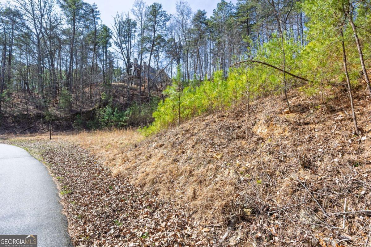 53 Somerset Lane Cartersville GA 30121