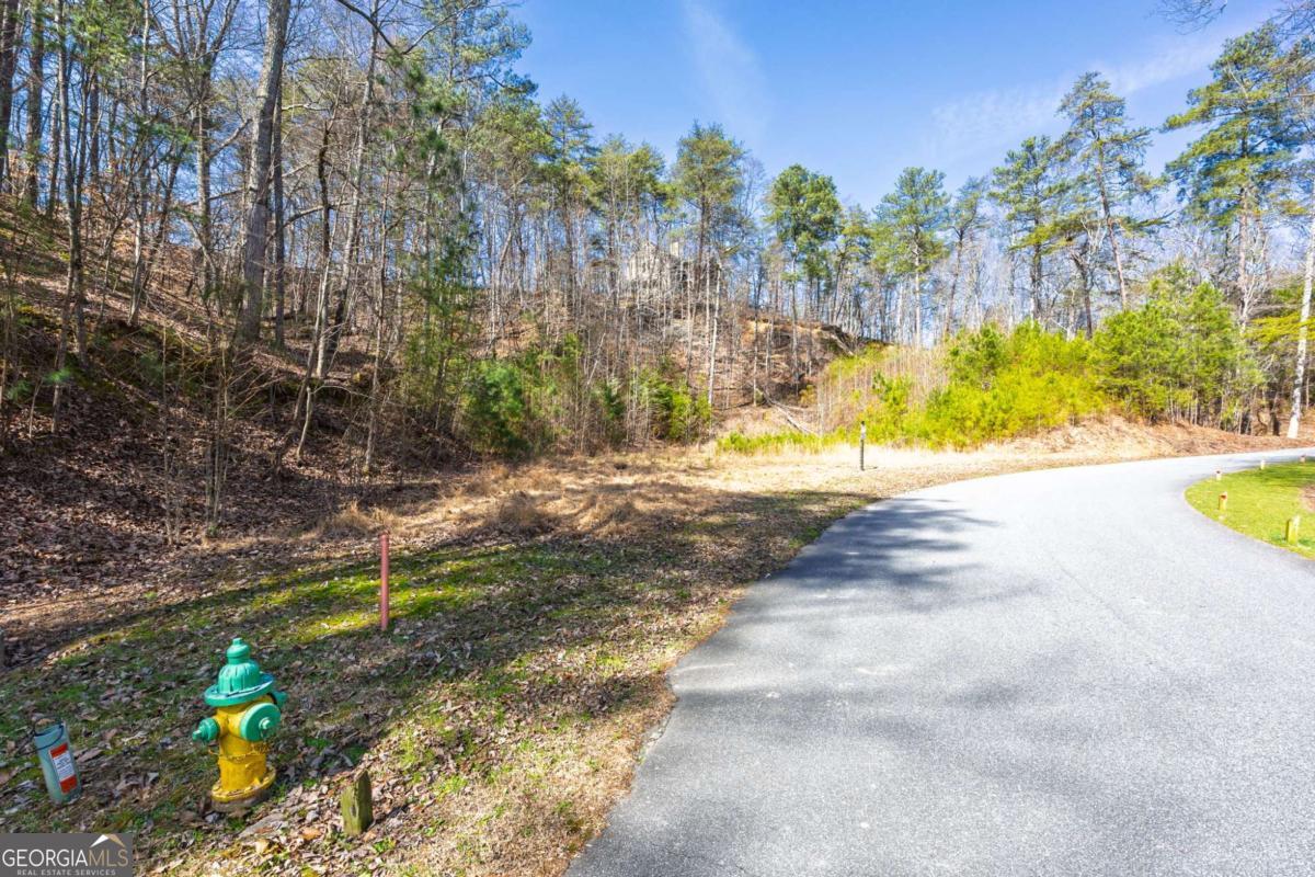 53 Somerset Lane Cartersville GA 30121
