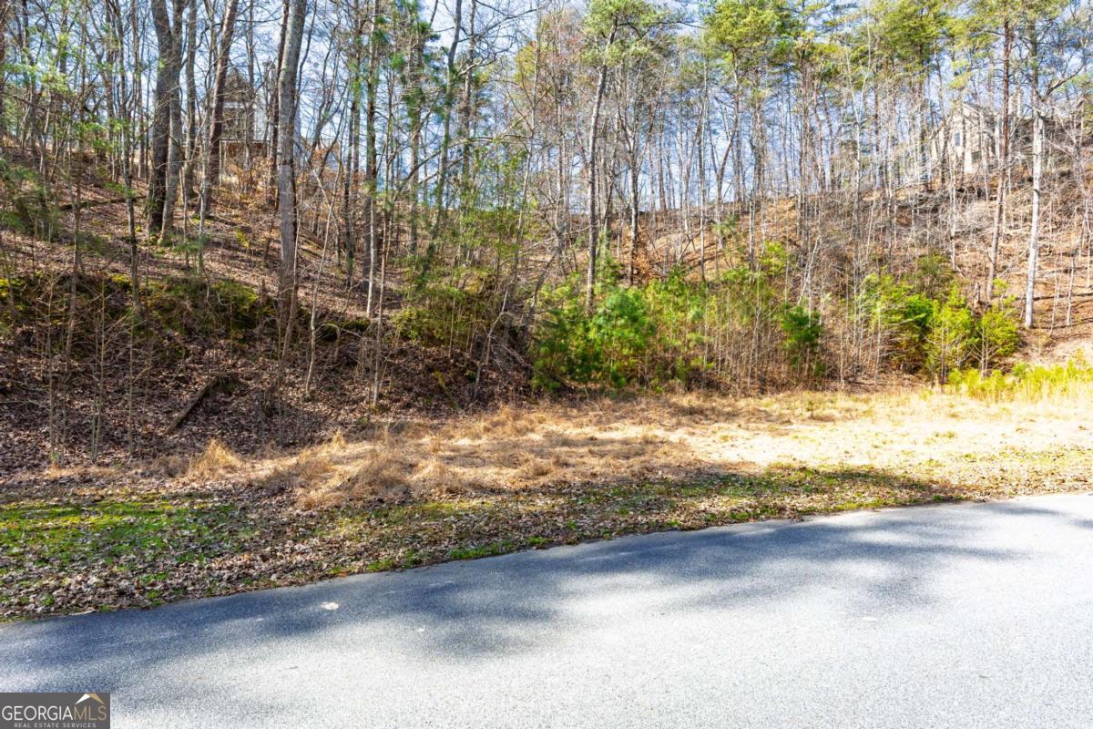 53 Somerset Lane Cartersville GA 30121