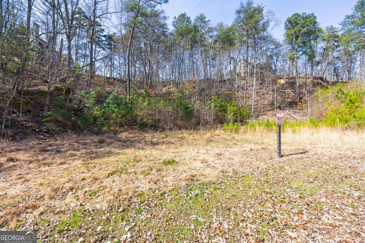 53 Somerset Lane Cartersville GA 30121