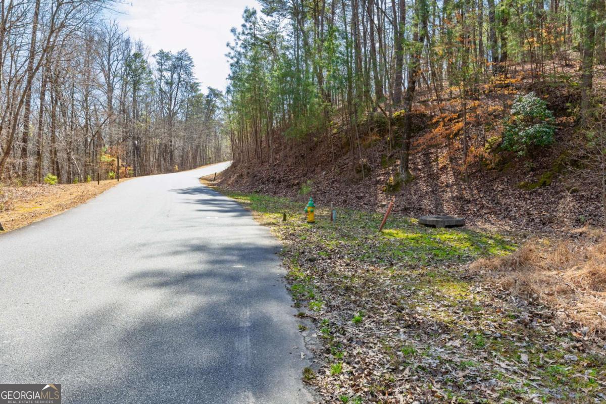53 Somerset Lane Cartersville GA 30121