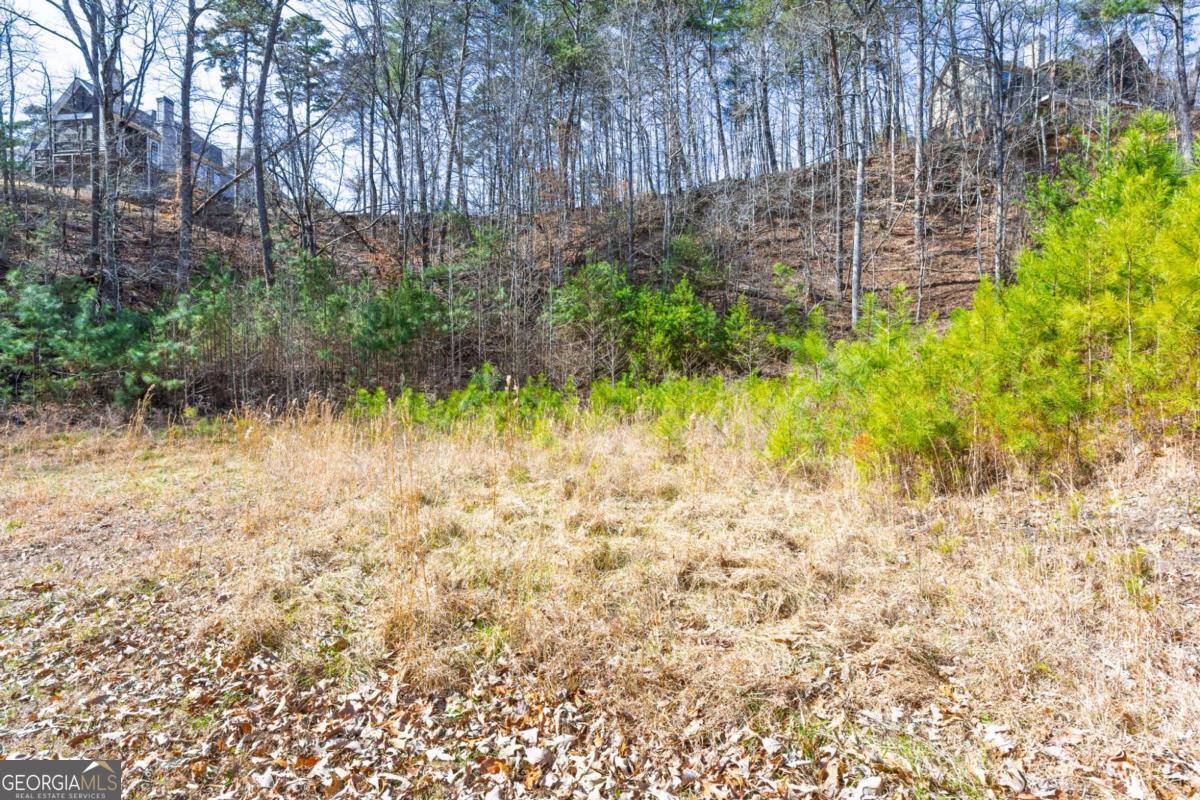 53 Somerset Lane Cartersville GA 30121