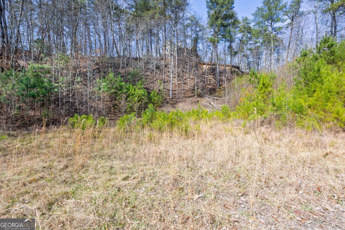 53 Somerset Lane Cartersville GA 30121