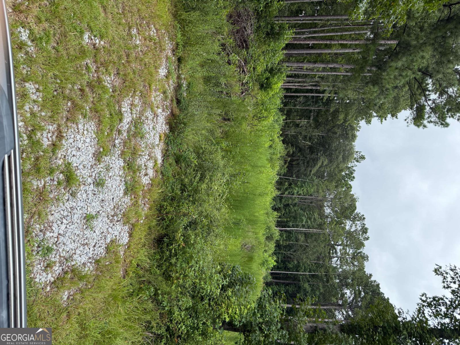 0 Maple Trail Sharpsburg GA 30277