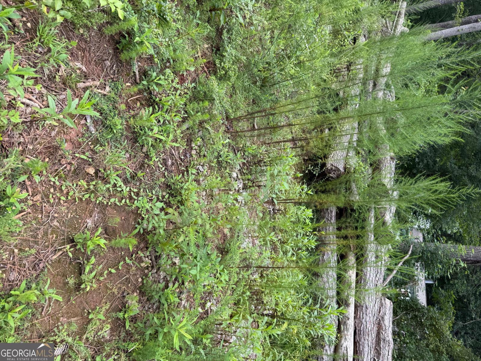 0 Maple Trail Sharpsburg GA 30277