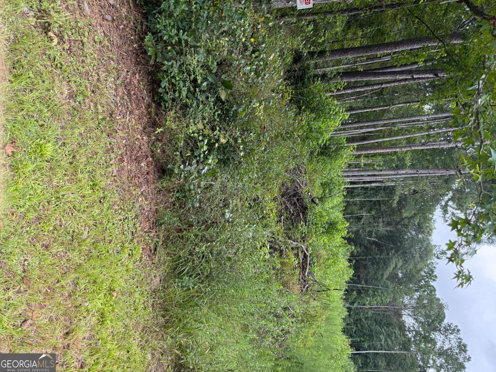 0 Maple Trail Sharpsburg GA 30277