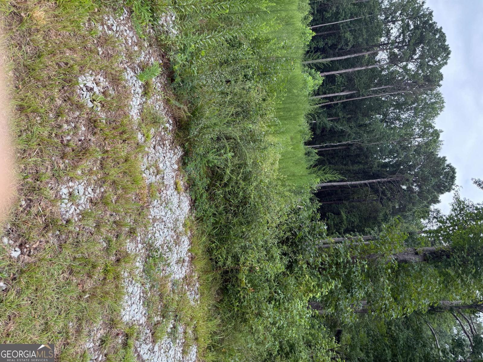 0 Maple Trail Sharpsburg GA 30277