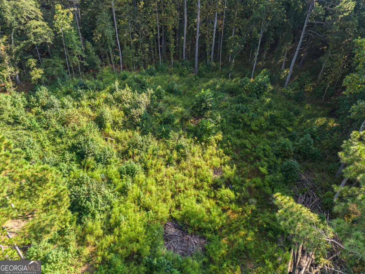 0 Maple Trail Sharpsburg GA 30277
