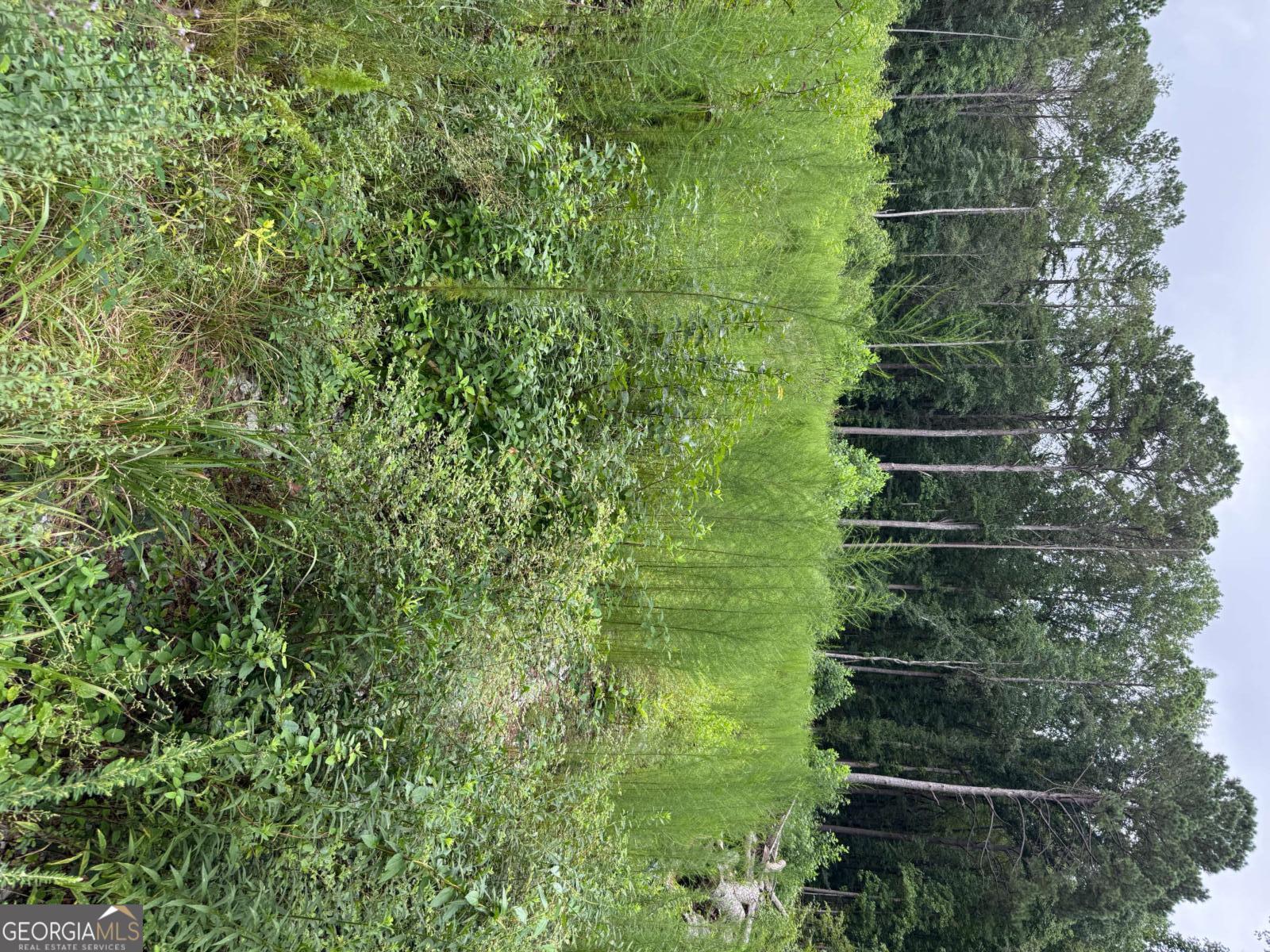 0 Maple Trail Sharpsburg GA 30277