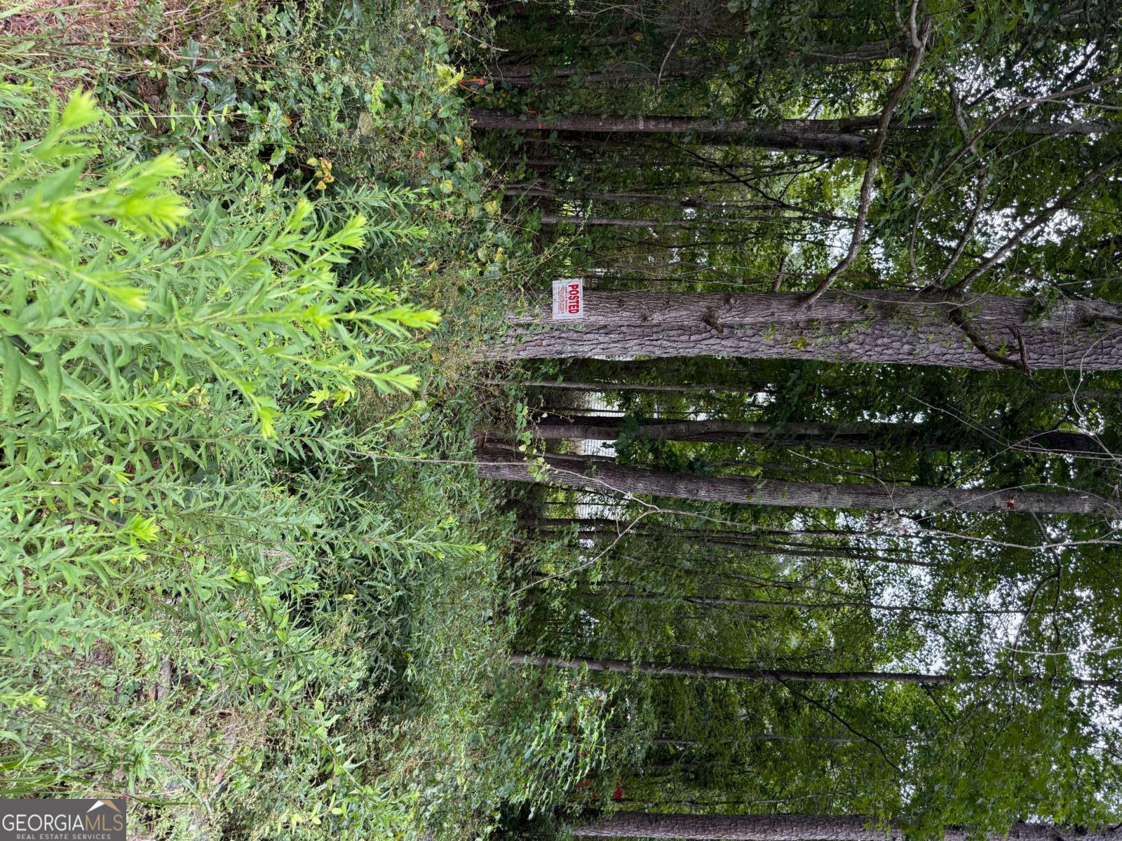 0 Maple Trail Sharpsburg GA 30277