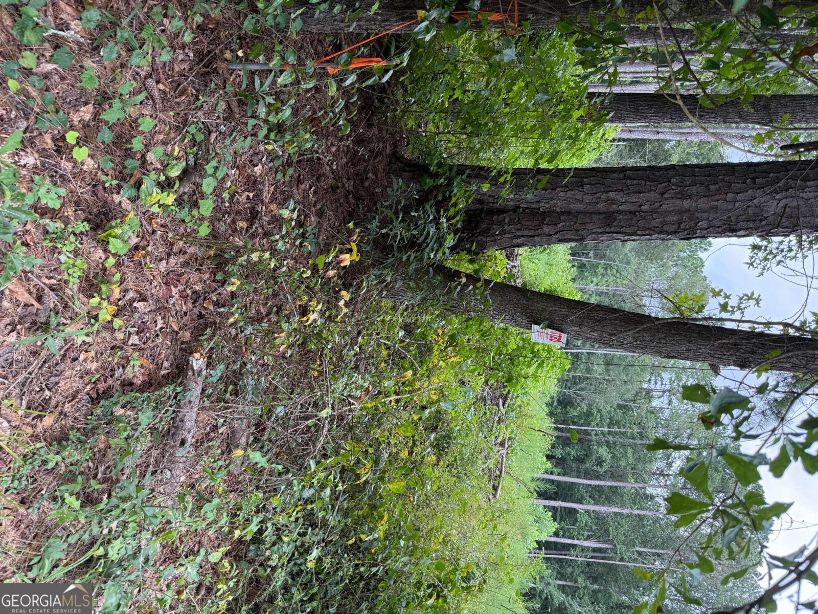 0 Maple Trail Sharpsburg GA 30277