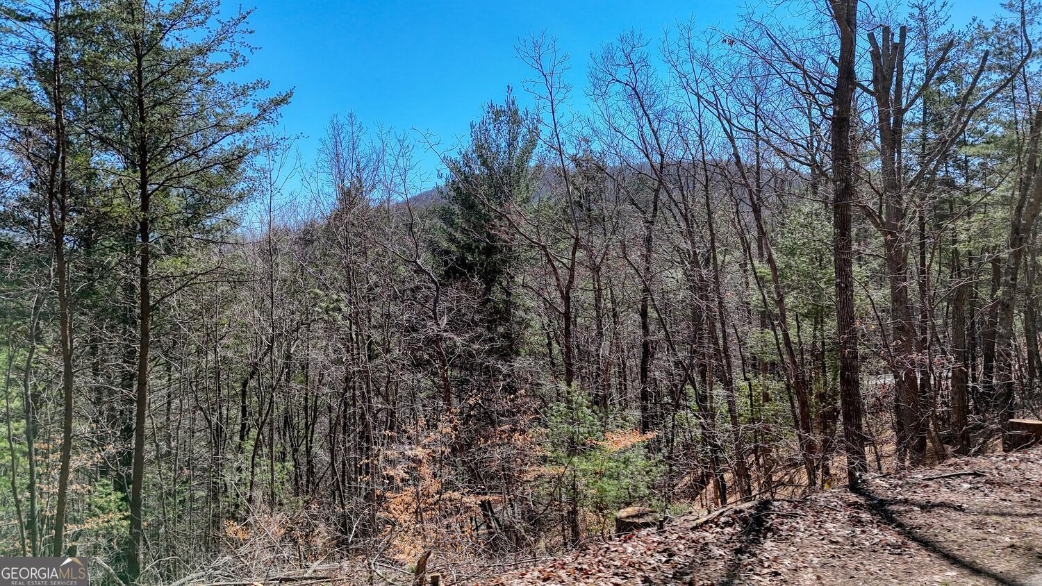 Lot 10 Butternut S/d / Firefly Ridge Blairsville GA 30512