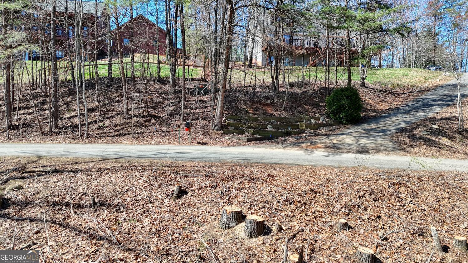 Lot 10 Butternut S/d / Firefly Ridge Blairsville GA 30512
