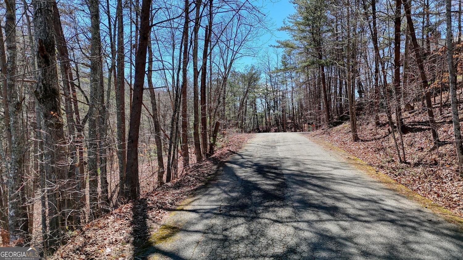 Lot 10 Butternut S/d / Firefly Ridge Blairsville GA 30512