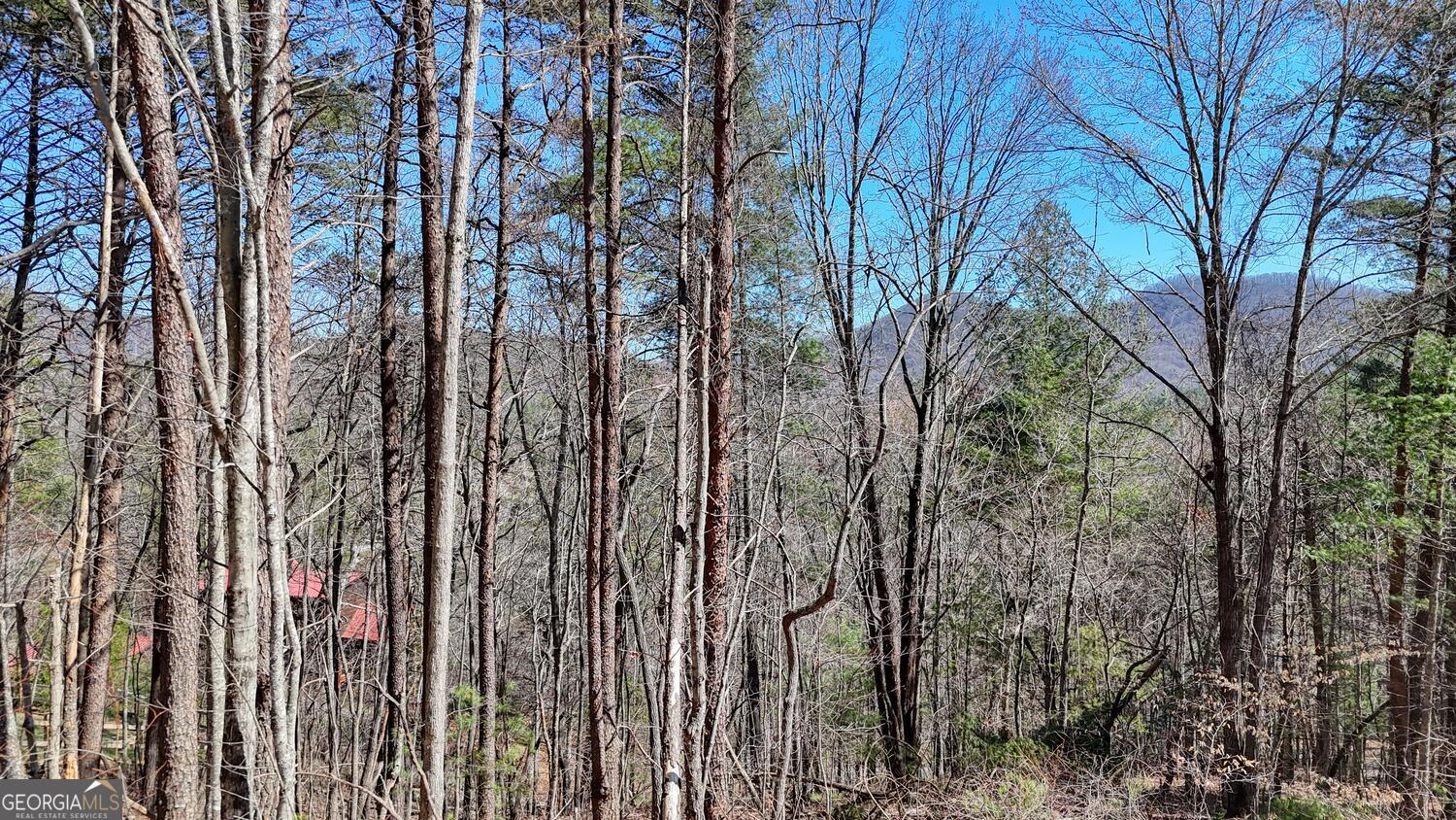 Lot 10 Butternut S/d / Firefly Ridge Blairsville GA 30512