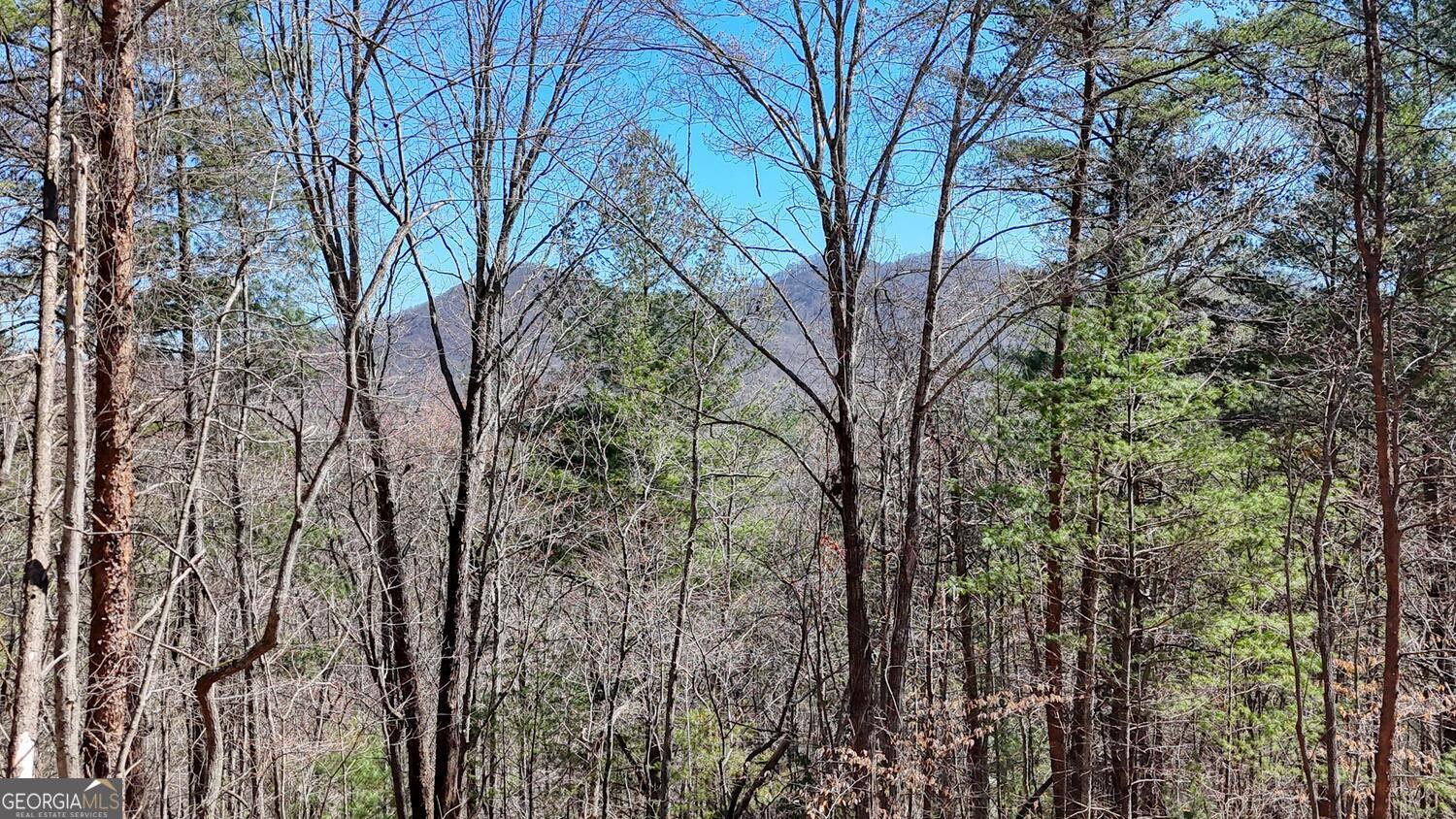 Lot 10 Butternut S/d / Firefly Ridge Blairsville GA 30512