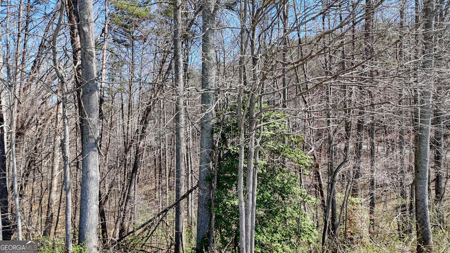Lot 10 Butternut S/d / Firefly Ridge Blairsville GA 30512