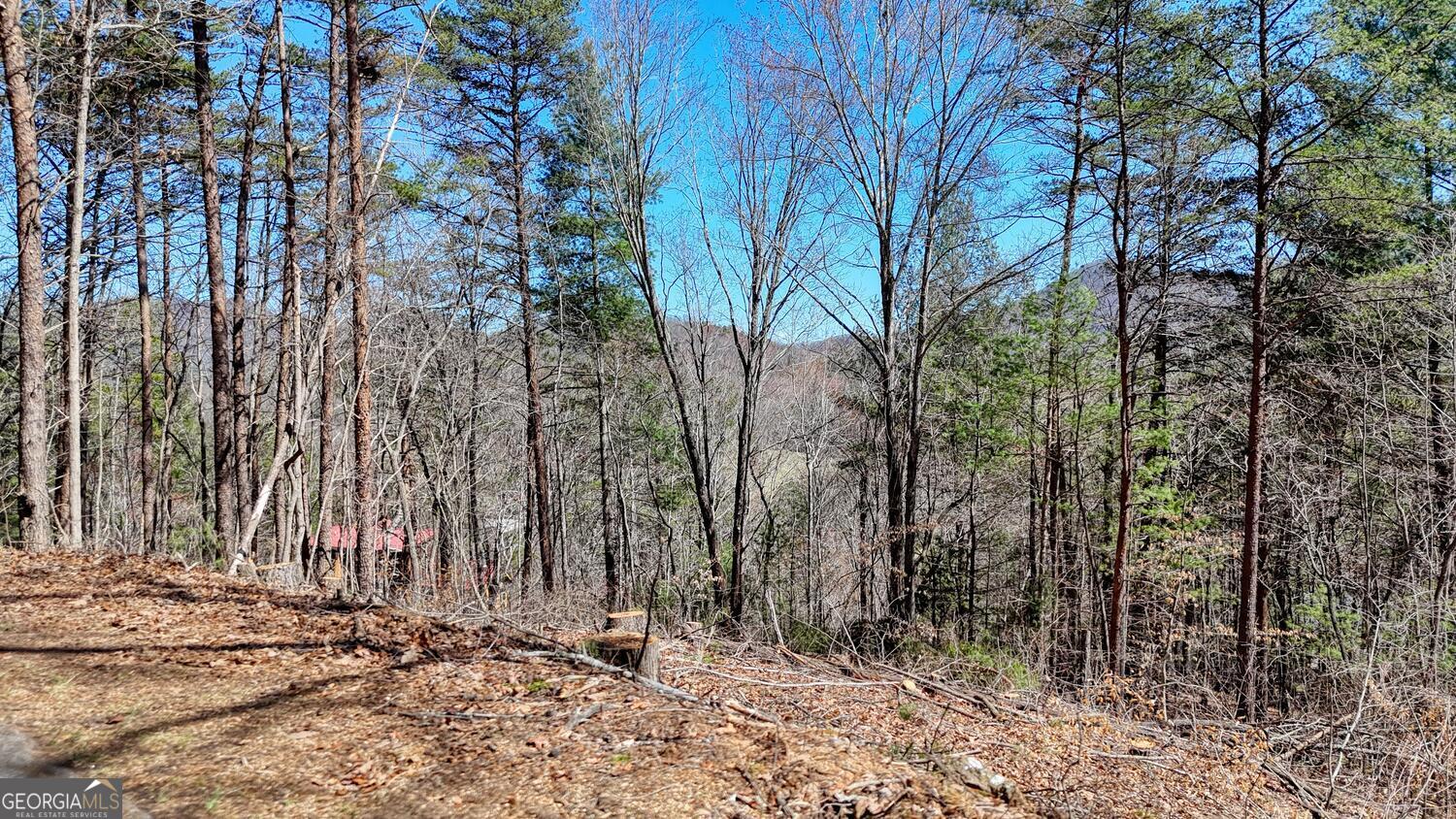 Lot 10 Butternut S/d / Firefly Ridge Blairsville GA 30512