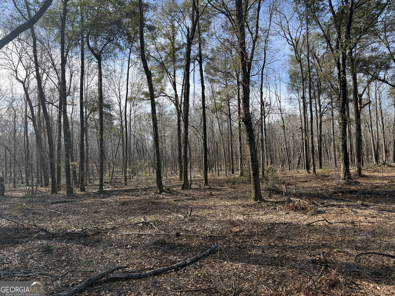 Truslow South Durham Mill Road Jeffersonville GA 31044