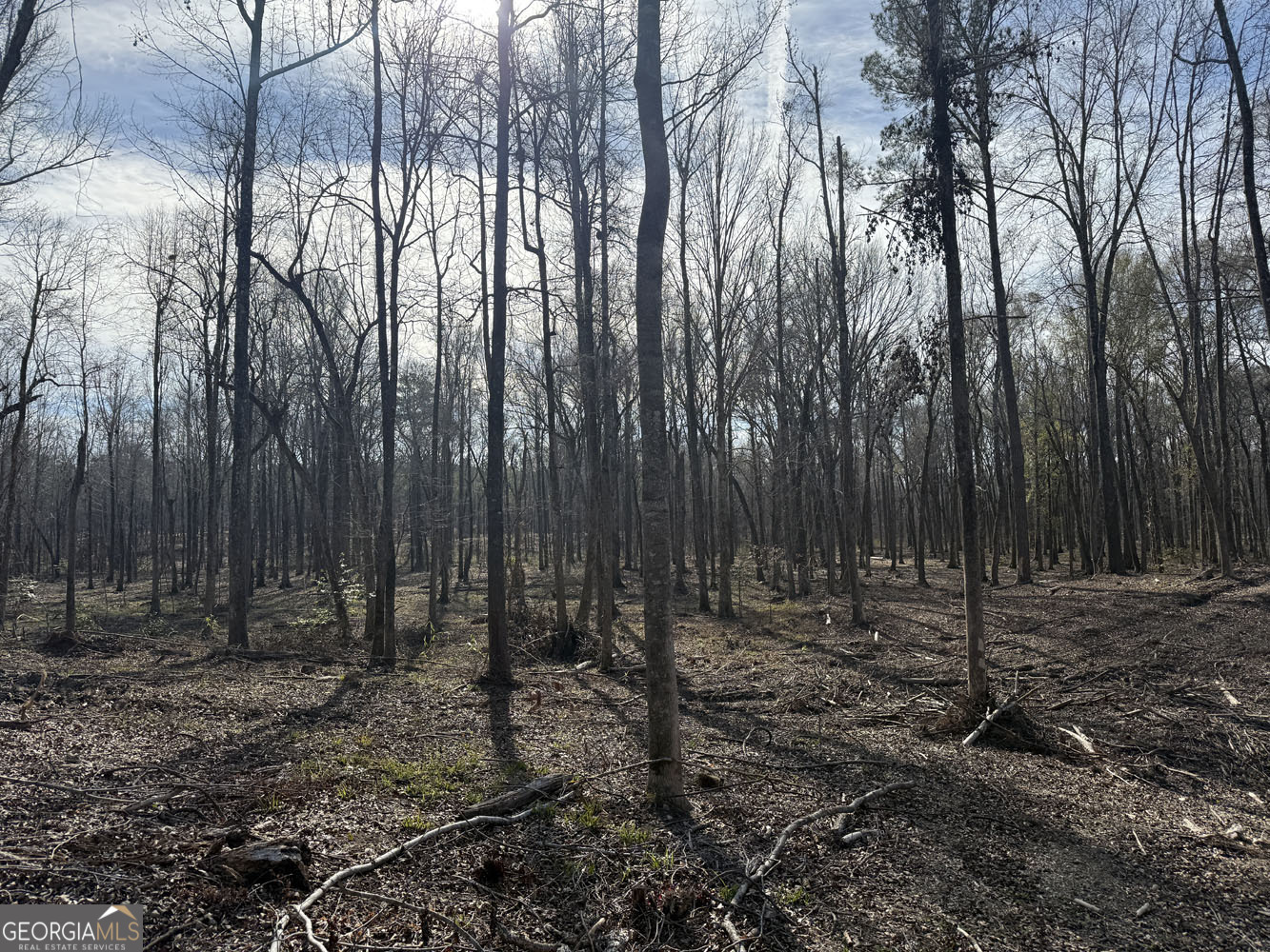 Truslow South Durham Mill Road Jeffersonville GA 31044