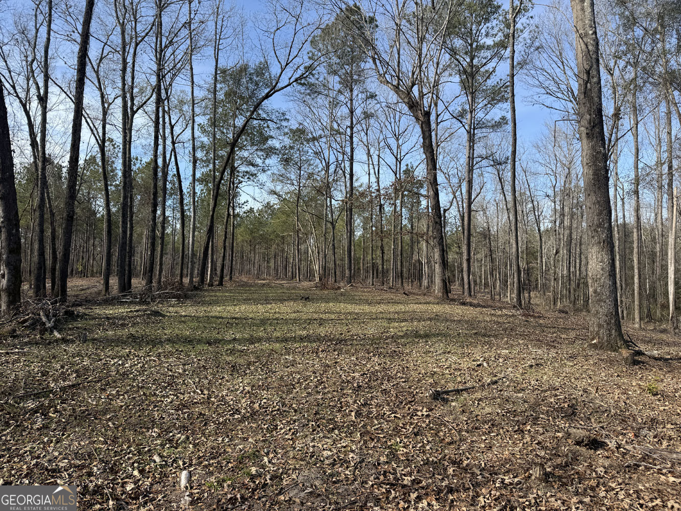 Truslow South Durham Mill Road Jeffersonville GA 31044