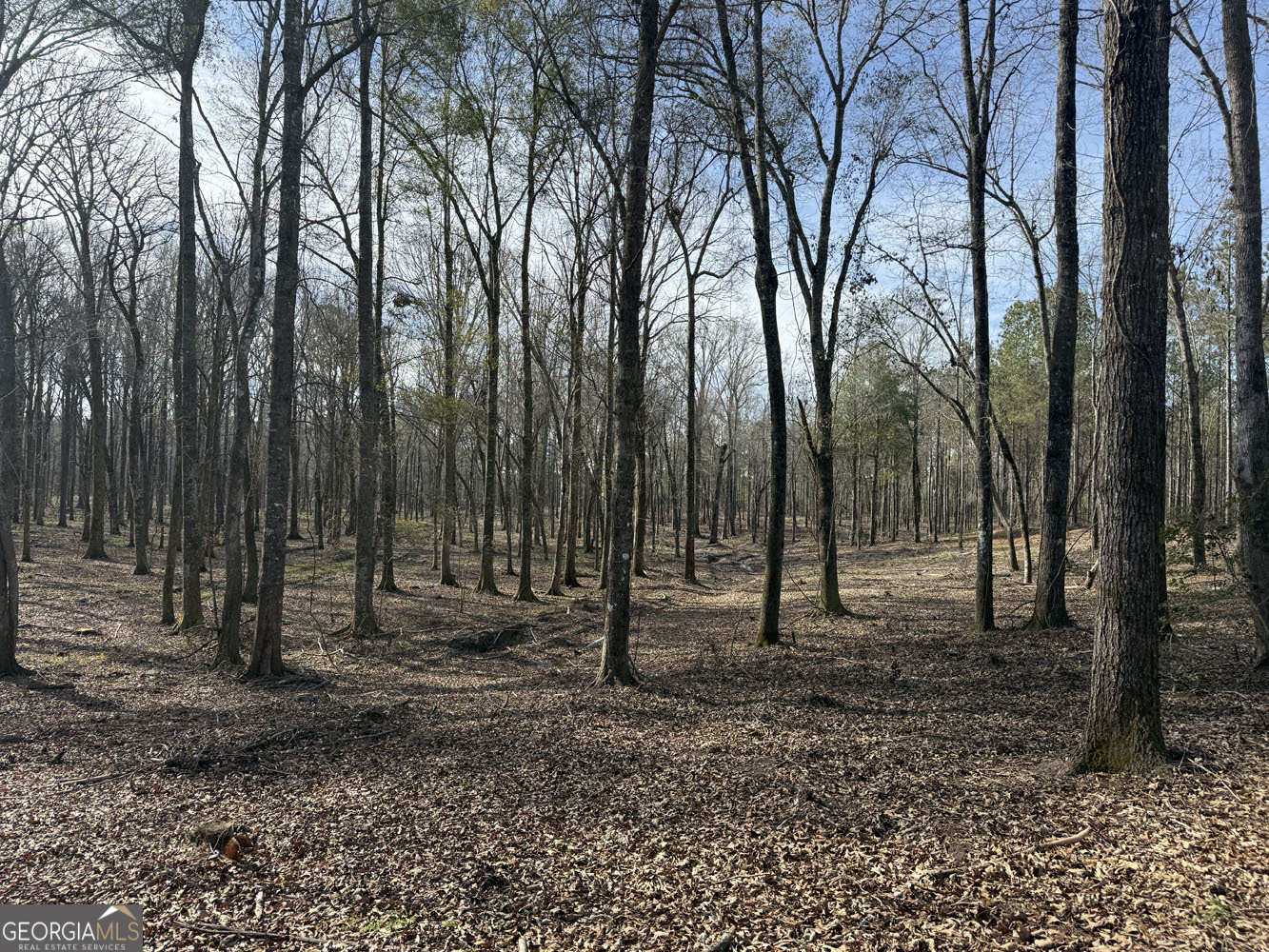Truslow South Durham Mill Road Jeffersonville GA 31044