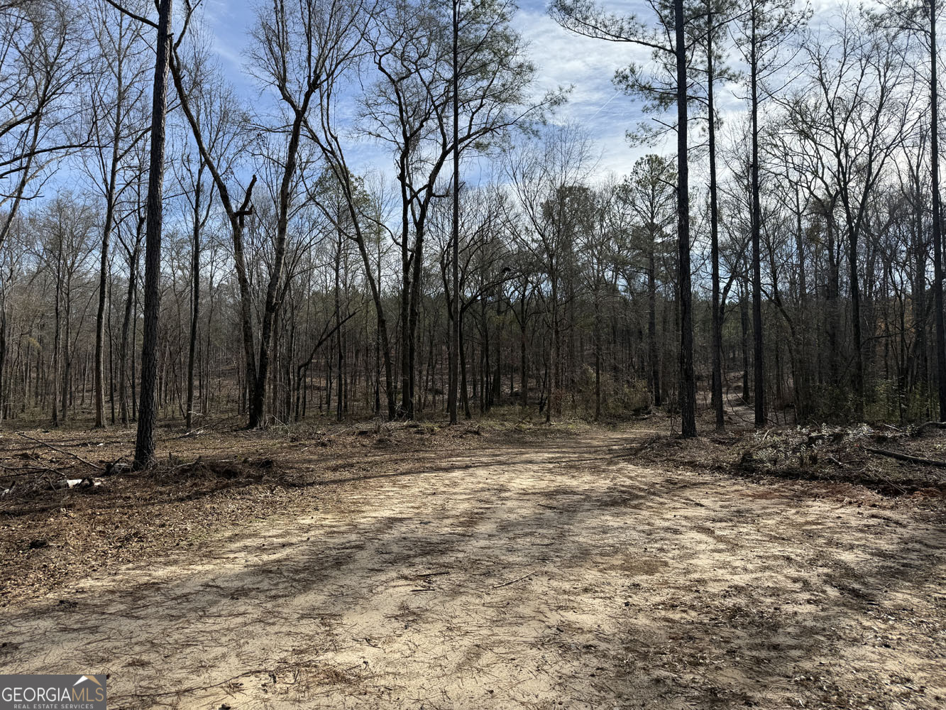 Truslow South Durham Mill Road Jeffersonville GA 31044