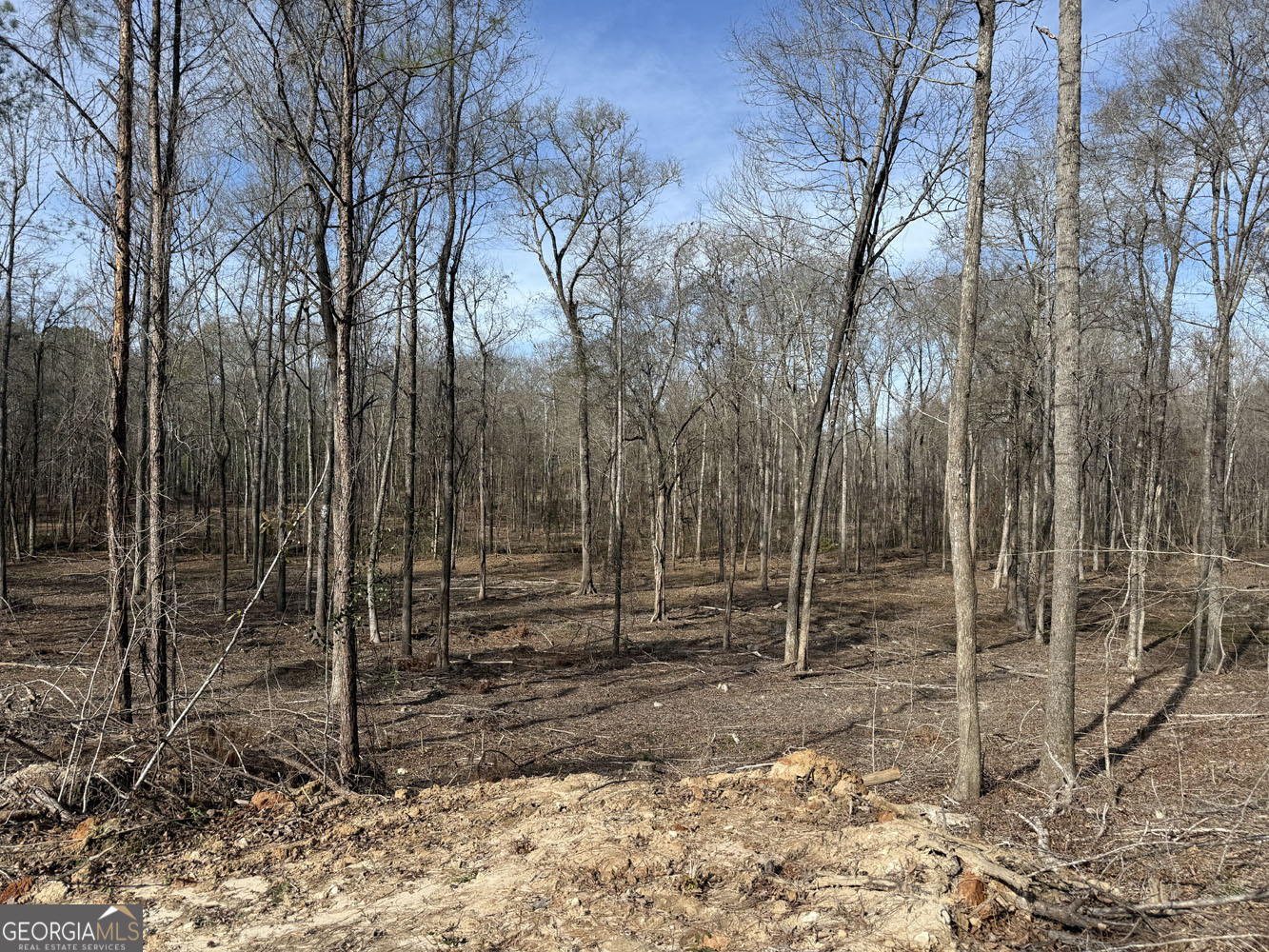 Truslow South Durham Mill Road Jeffersonville GA 31044