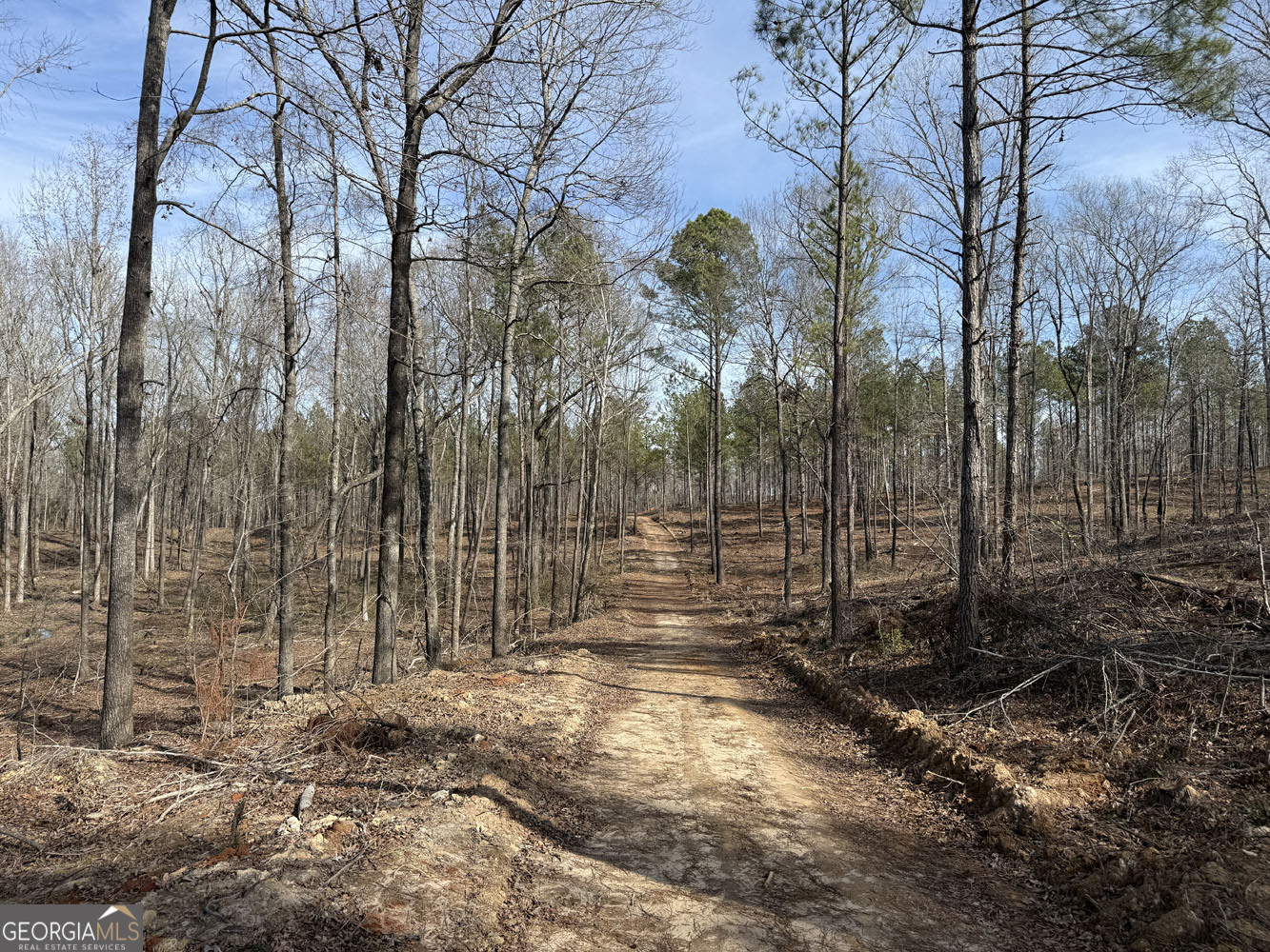 Truslow South Durham Mill Road Jeffersonville GA 31044