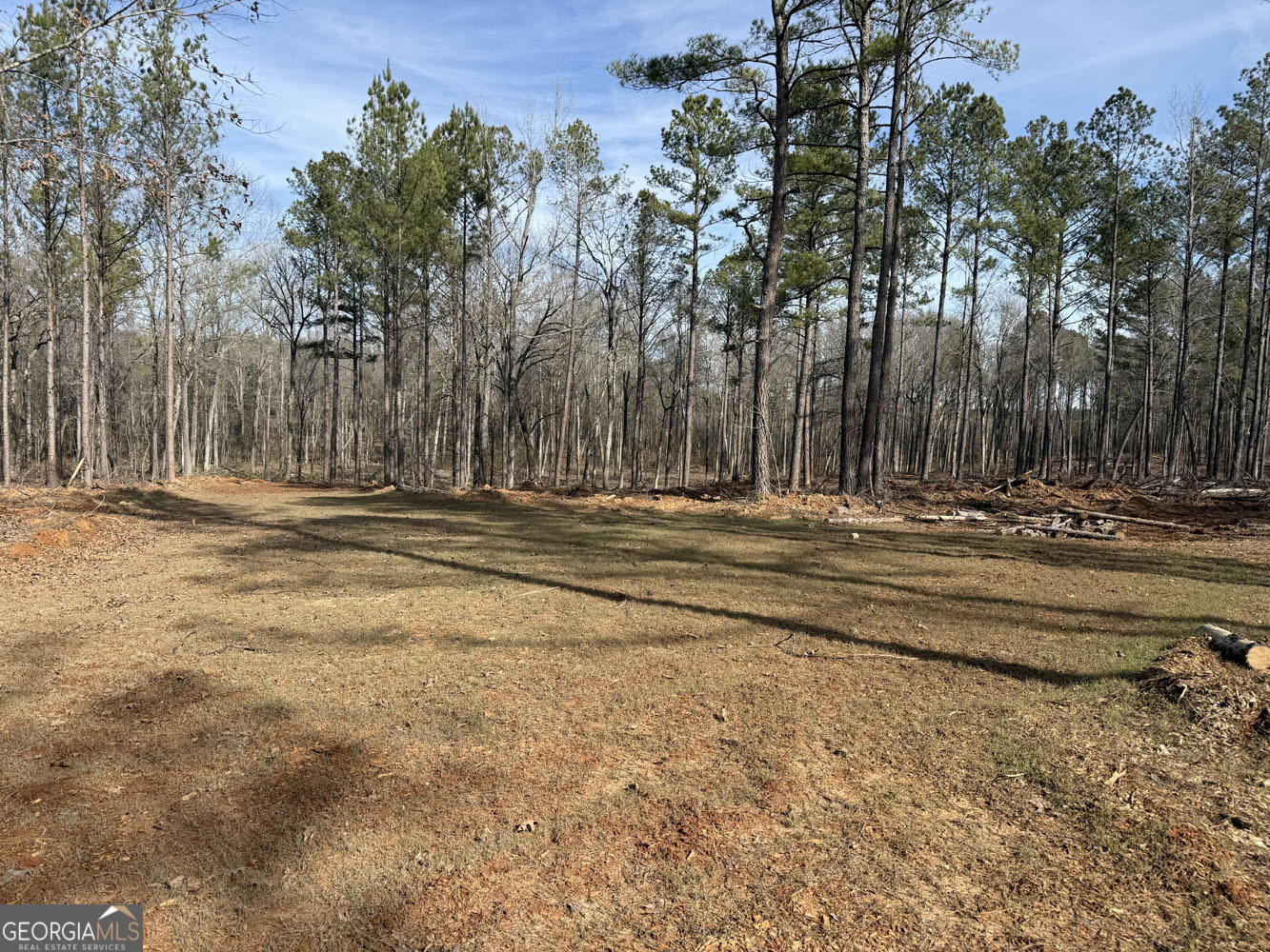 Truslow South Durham Mill Road Jeffersonville GA 31044